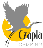 Wypełnij to pole odpowiednim tekstem. Jego treść zmienisz w panelu administracyjnym w zakładce Wizytówka / Ustawienia wizytówki / Strona główna / Nagłówek strony głównej